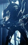 Alien7