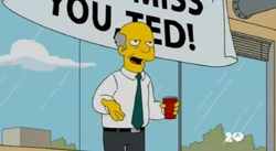 Ted