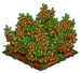 Goji Berry extra100