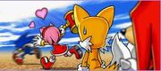 Sonichest