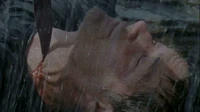 6x17JacksCut.jpg
