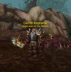 Garrim Ragnarôk