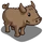 Island Pig