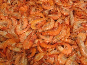 File-Langostinos-rafax.jpeg