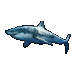 Item GreatWhiteShark 01