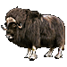 Item MuskOx 01.gif