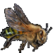 Item killerbee 01