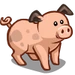 Pig-icon.png