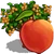 Peach Tree-icon.png