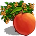 Peach Tree-icon.png