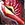 Red Ibis Armguard