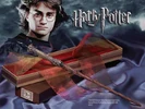 Harryswandlg