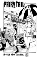 Cover 45