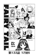Cover 133