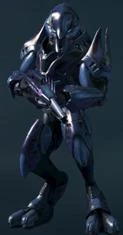 Species inline