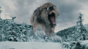 400px-Wolf-attacking