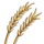 Wheat-icon.png