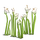 Wildflowers100-icon