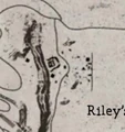 Rileyscharge1.jpg