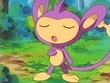 EP243 Aipom