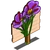 Saffron Mastery Sign-icon