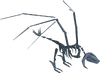 Skeletal Wyvern