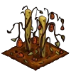 Tomatoes withered.png