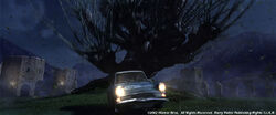 Whomping Willow CS