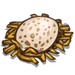 Spotted Egg-icon.png