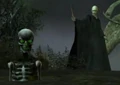 Charmed skeleton.jpg