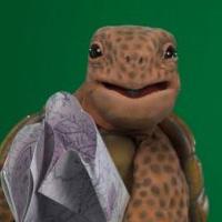 JHAS tortoise