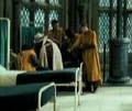 Hufflepuffquidditchteam.jpg