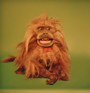 JHASbaboon