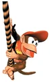 DiddyClimbingRope
