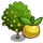 Asian Pear Tree-icon