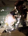 Collector Assassin.png