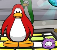 Purple puffle cp dance