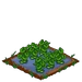 Wasabi 66