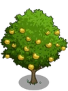 Asian Pear Tree2-icon