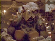 Tokka