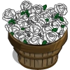 White Roses Bushel-icon