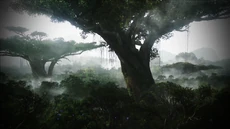 Hometree HD