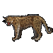 Item arabianleopard 01.gif