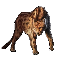 Huge item kingcheetah 01.gif