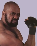Bad News Brown1