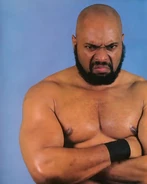 Bad News Brown2