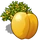 Apricot Tree-icon.png