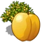 Apricot Tree-icon.png