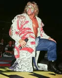 Ultimate Warrior12