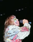 Ultimate Warrior14